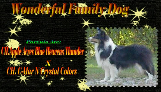 Contact Sue} JHighjr@aol.com, ph#319)373-0000